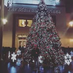 Steven Collado - @colladosteven22 - Instagram