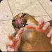 Steven Collado - Facebook