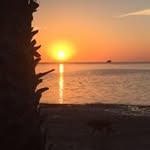 Angie Stevens Colston - @stevenscolston - Instagram