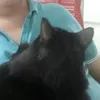Coltranesteven - @coltranesteven - TikTok