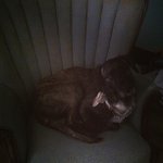 Steven Colwell - @holysianel - Instagram