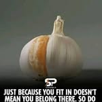 Steven Constantine - @steven.gt.7 - Instagram