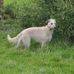 Steven Cookson - Facebook