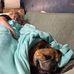 Stevie Coons - Facebook