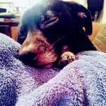 Steven Cootes - @cootessteven - Instagram