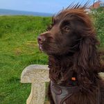 Steven Copping - @coppingsteven - Instagram