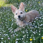 Steve Copsey - @steve1953c - Instagram