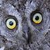 Steve Copsey - Facebook