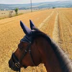 Steven Cornwell - @cornwell4877 - Instagram