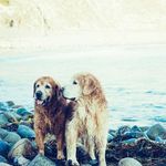 Steven Corrigan - @corrigan1056 - Instagram