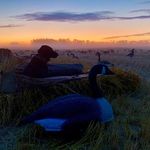 Steven Corry - @steven.corry.752 - Instagram
