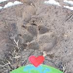 Steven Mark Corum - @driftwood71 - Instagram