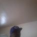 Stephen Cottingham - Facebook