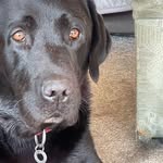 Steve Cottingham - @stevecottingham67 - Instagram