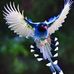 Stephen Crago - Facebook