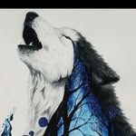 Steven Creed - @stevan_ledzouna - Instagram