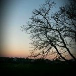 damion steven crick - @king_photography_of_darkness - Instagram