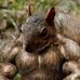 Steven Crick - Facebook