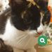 Steven Crick - Facebook