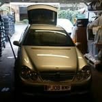 Steven Williamson - @stevencrimes111 - Instagram