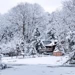 Steven Criner - @stevecriner53 - Instagram