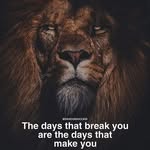 Steven Curfman - @belmontk9 - Instagram
