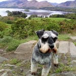 Stephen Cutting - @stevee2007 - Instagram