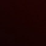 @stevendamm - Instagram
