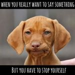Steven Danforth - @stephendanforth - Instagram