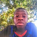 Steven Dao - @stevendao55 - Instagram