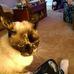 Steven Darst - Facebook