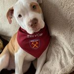 Steve Davey - @steven_davey_6565 - Instagram