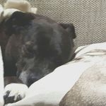 Steven Davey - @steven.davey.961 - Instagram