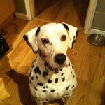 Steven Davey - @steven.davey.336 - Instagram