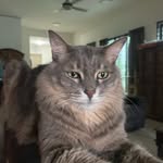 Steve Deere - @deere.steve - Instagram