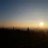 Stefan de Frank - @stefandefrank - TikTok