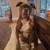 Steve Deluca - Facebook