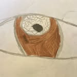 Stephen Denison - @stephendnsn - Instagram