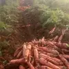 Steven B. Denison - @steven.b..denison - TikTok