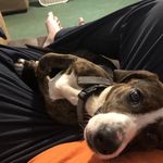 Steven Dennison - @steven.dennison.944 - Instagram