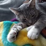 Steven Deno - @steve_deno - Instagram