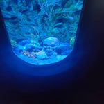 Steve Denson - @steve.denson.395 - Instagram