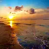 Steven 1234 - @steven_edsinger - TikTok