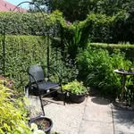 Steven Devine - @steven196210 - Instagram