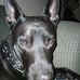 Steve DeWalt - Facebook
