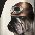 Steven De Wolf - @de_wolf_steven - Instagram