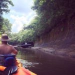 Steven Dews - @steven_dews - Instagram