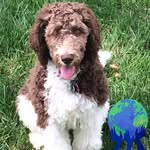 Steven Dicken - @steven.dicken.12 - Instagram