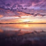 StevenDickens - @stevendickens443 - Instagram