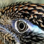 Steve's photos - @steven_dickey - Instagram